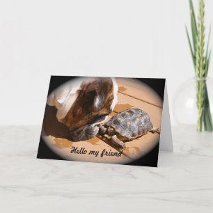 Hello my Friend Card