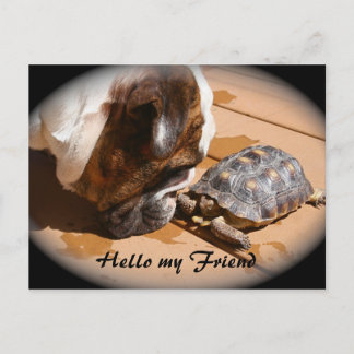 Hello my Friend Post card