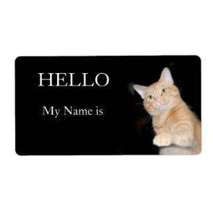 Hello my name is.......