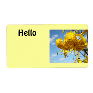 Hello Name tags stickers labels Blue Sky Events