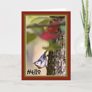 Hello - Nuthatch Greeting Card