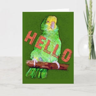 HELLO  Parrot greeting card