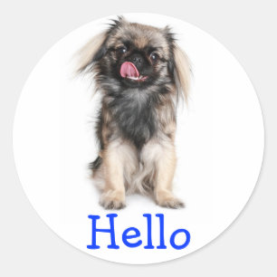 Hello Pekingese Puppy Dog Greeting Sticker