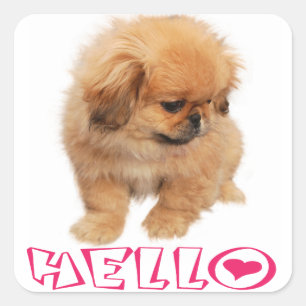 Hello Pekingese Puppy Dog Pink Heart Sticker Seal