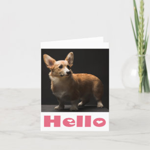 Hello Pembroke Corgi Puppy Dog Blank Note Card