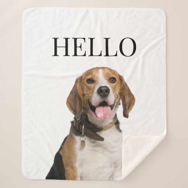 Hello Personalised Beagle Dog Portrait Photo Sherpa Blanket (Front)