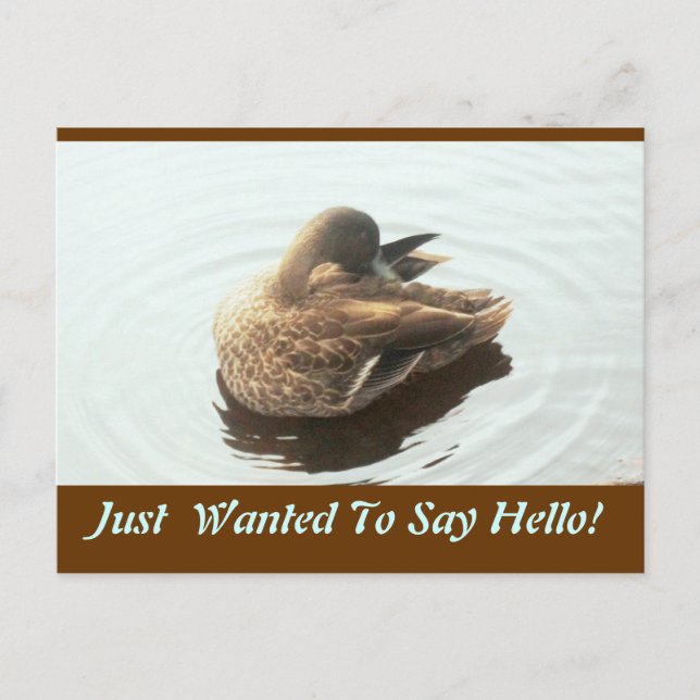Hello Post Card (Front)