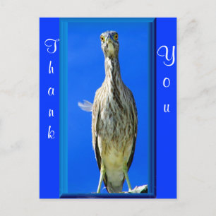 Hello_ Postcard