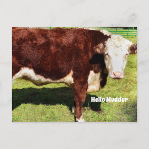 Hello PostCard