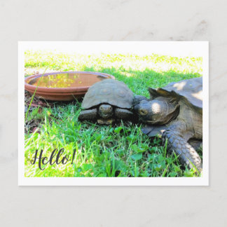 Hello! Postcard