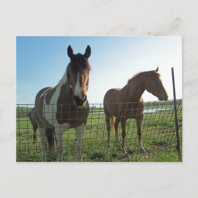 Hello Postcard (Front)