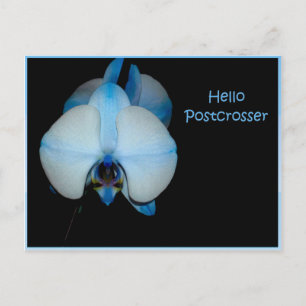Hello Postcrosser Postcard