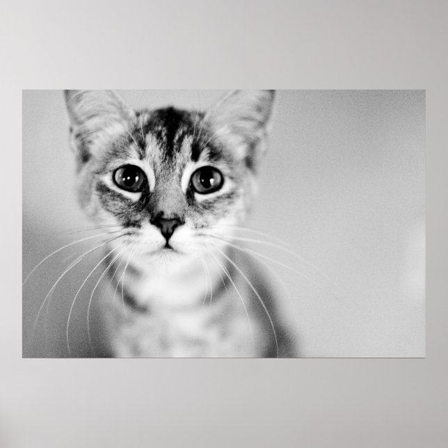 Hello Poster (Front)