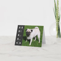 Hello Pug Puppy Dog Chalkboard Blank Note Card
