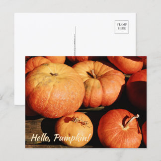 Hello, Pumpkin! Holiday Postcard