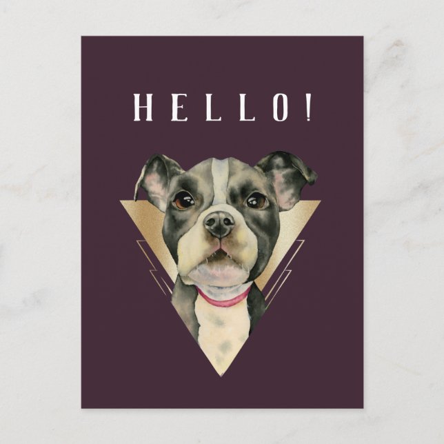 HELLO Purple Gold Pitbull Puppy Watercolor Postcard (Front)
