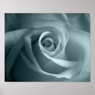 Hello Rose Poster