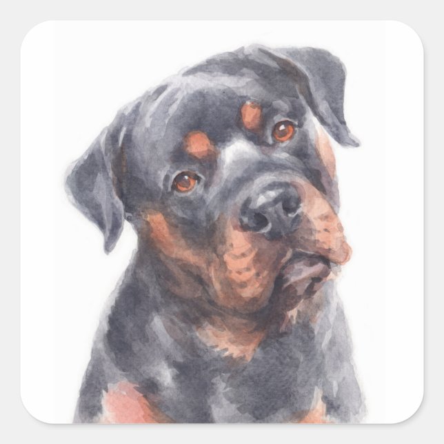  Hello Rottie Puppy Dog Watercolor Rottweiler  Square Sticker (Front)