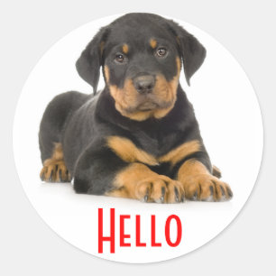 Hello Rottweiler Puppy Dog Greeting Stickers