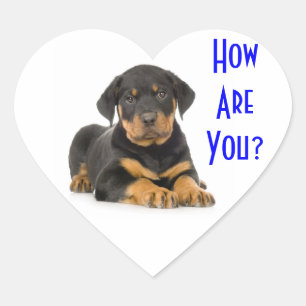 Hello Rottweiler Puppy Dog Greeting Stickers