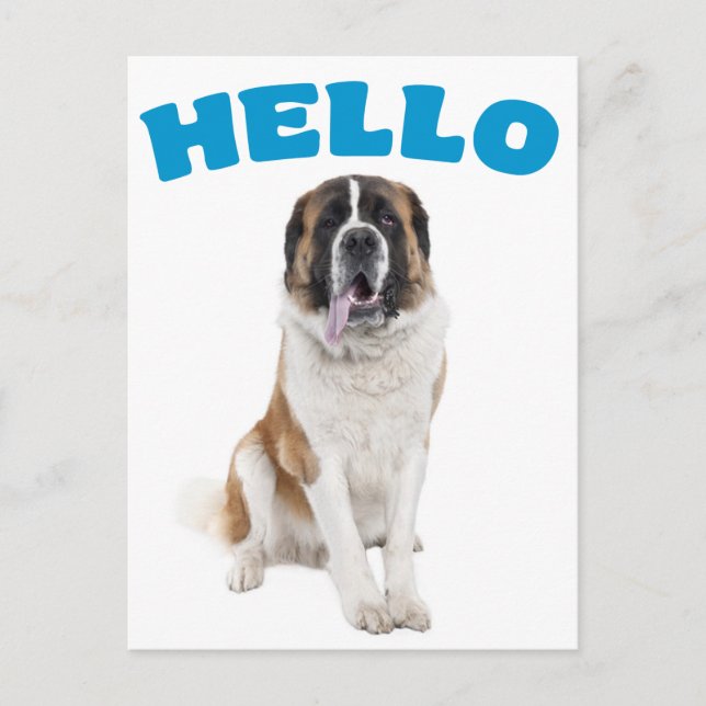 Hello Saint Bernard Puppy Dog Blue Postcard (Front)