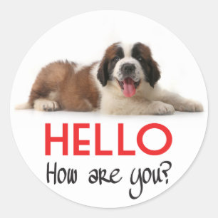 Hello Saint Bernard Puppy Dog Sticker / Seals