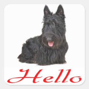 Hello Scottish Terrier  Puppy Dog  Sticker / Label