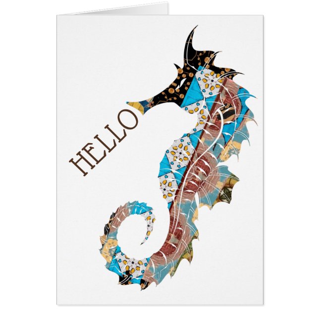 Hello Seahorse (Front)