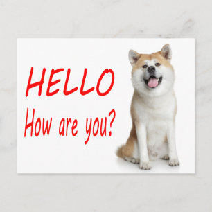 Hello Shiba Inu Puppy Dog Greeting Post Card