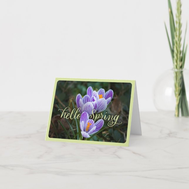 "Hello Spring" and Crocuses Folded Greeting Card (Front)