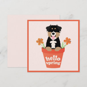 Hello Spring Australian Shepherd Dog In Flower Pot Card