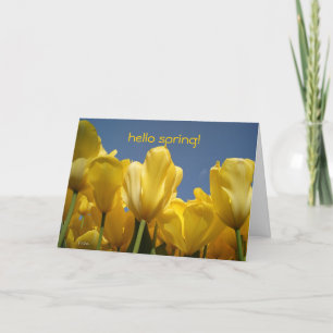 hello spring! card