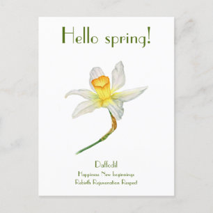 Hello spring daffodil with meaning Postcard