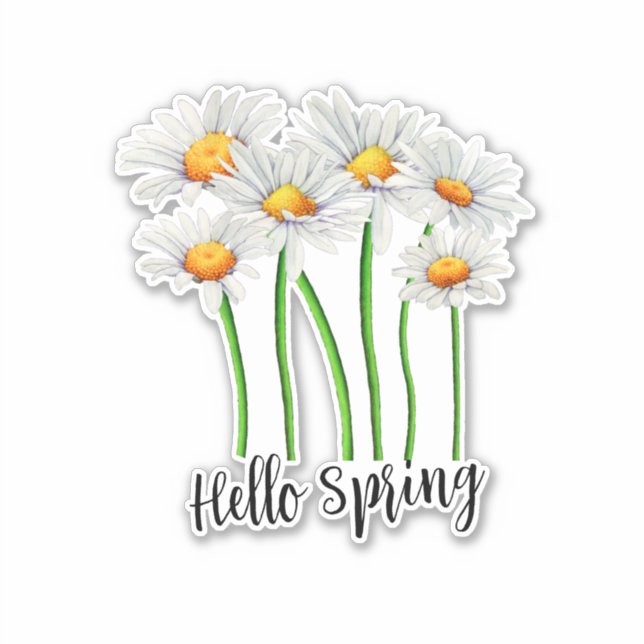 Hello Spring, Daisy Flowers Design (Front)