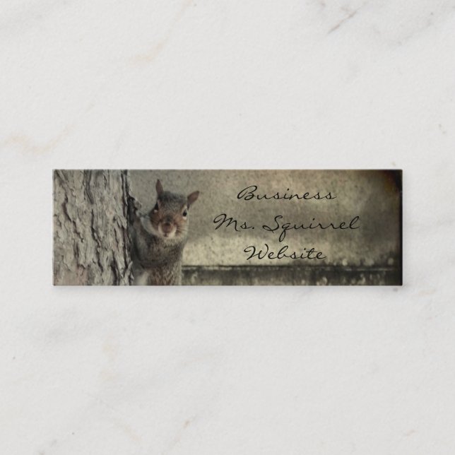Hello Squirrel Mini Business Card (Front)