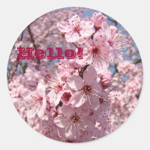 Hello! stickers Pink Tree Blossom Flowers Florals