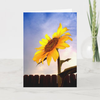 Hello Summer Greeting Card