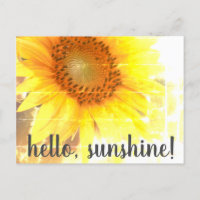 "Hello, Sunshine!" Faded Sunflower Postcard