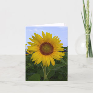 Hello Sunshine Note Card