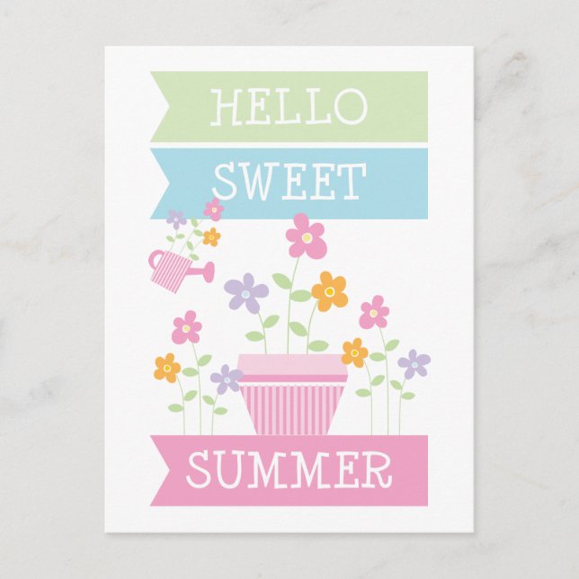 Hello Sweet Summer Cute Flowers  Postcard (Front)