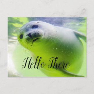 Hello There Cute Seal Postcard