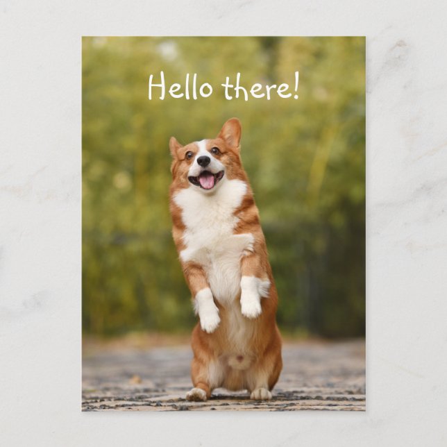 Hello There! / Funny Corgi Postcard (Front)