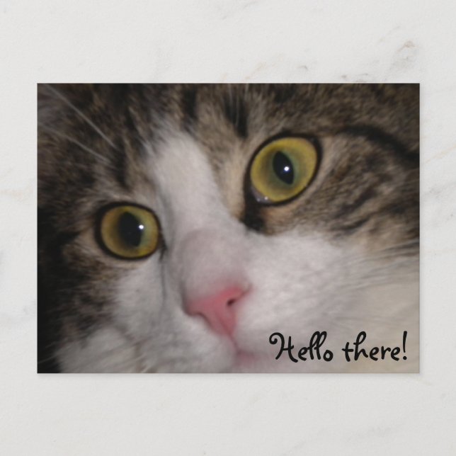 Hello there! greetingcard postcard (Front)