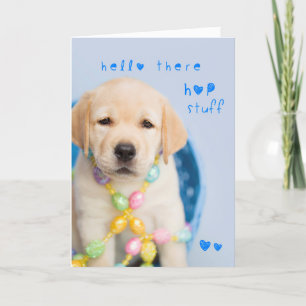 Hello there hop stuff yellow lab puppy holiday card