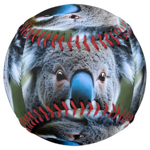 Hello There Koala Bear, Softball