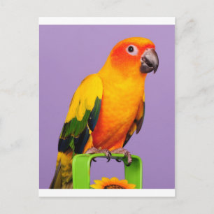 Hello there postcard