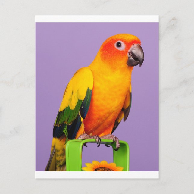 Hello there postcard (Front)