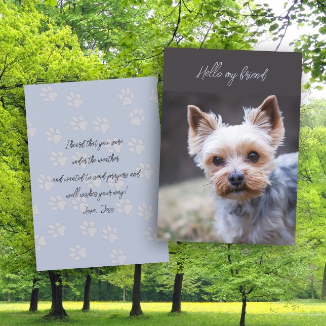 Hello Thinking of You Terrier Greeting Card (Creator Uploaded)