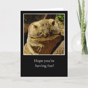 Hello to Camper Smiling Turtle Card