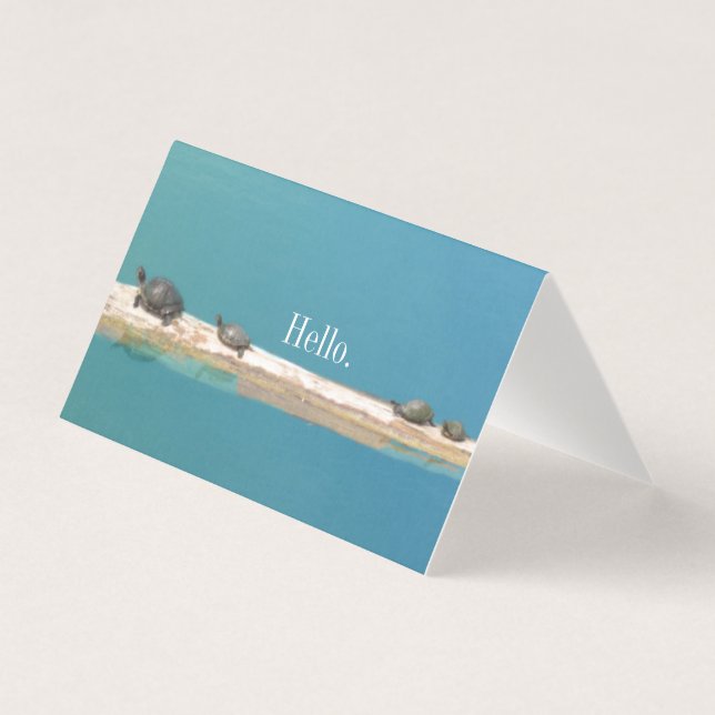 "Hello" Turtle Family Greeting Cards (Front)